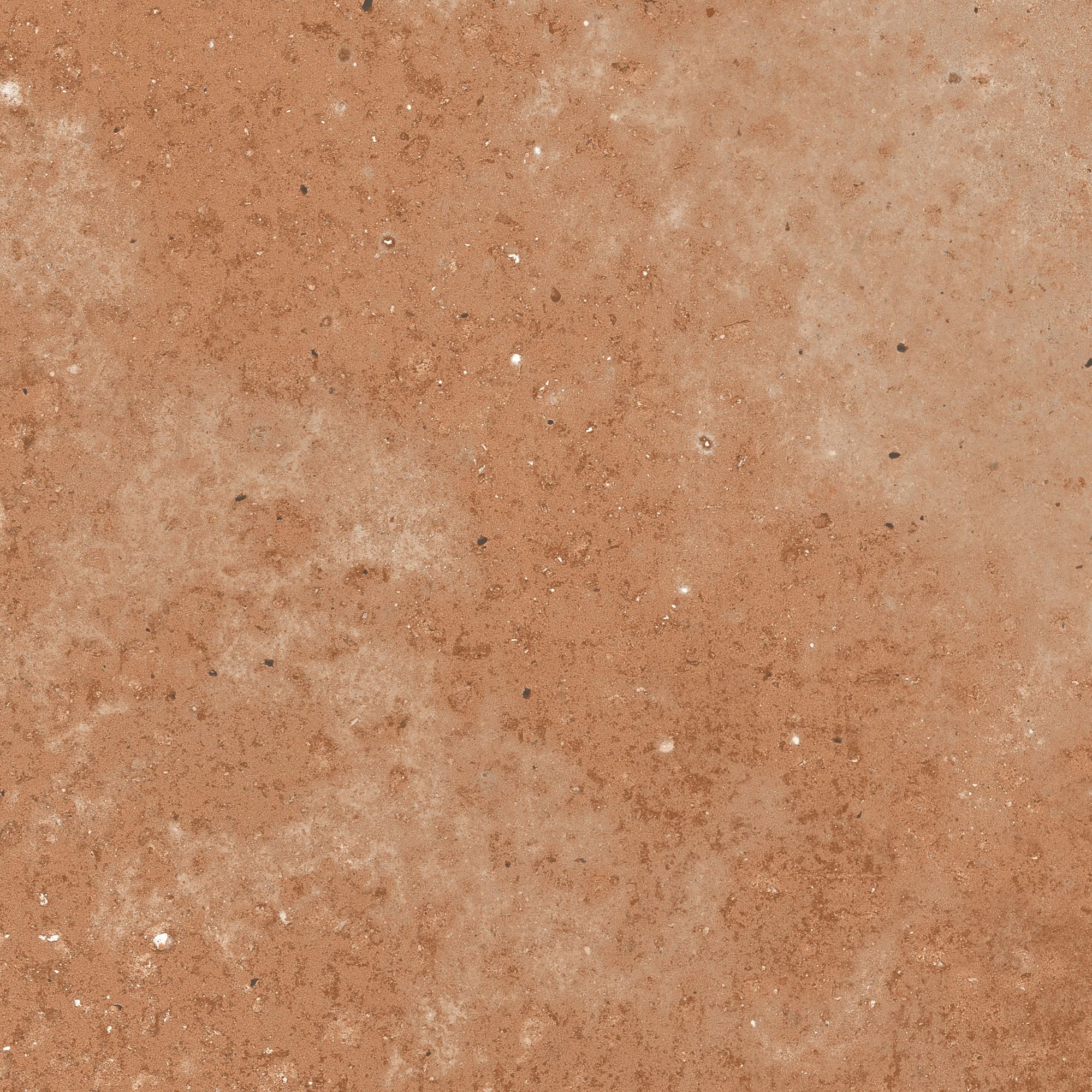 Carrelage Terre cuite Floreo Marron clair 25x25 cm