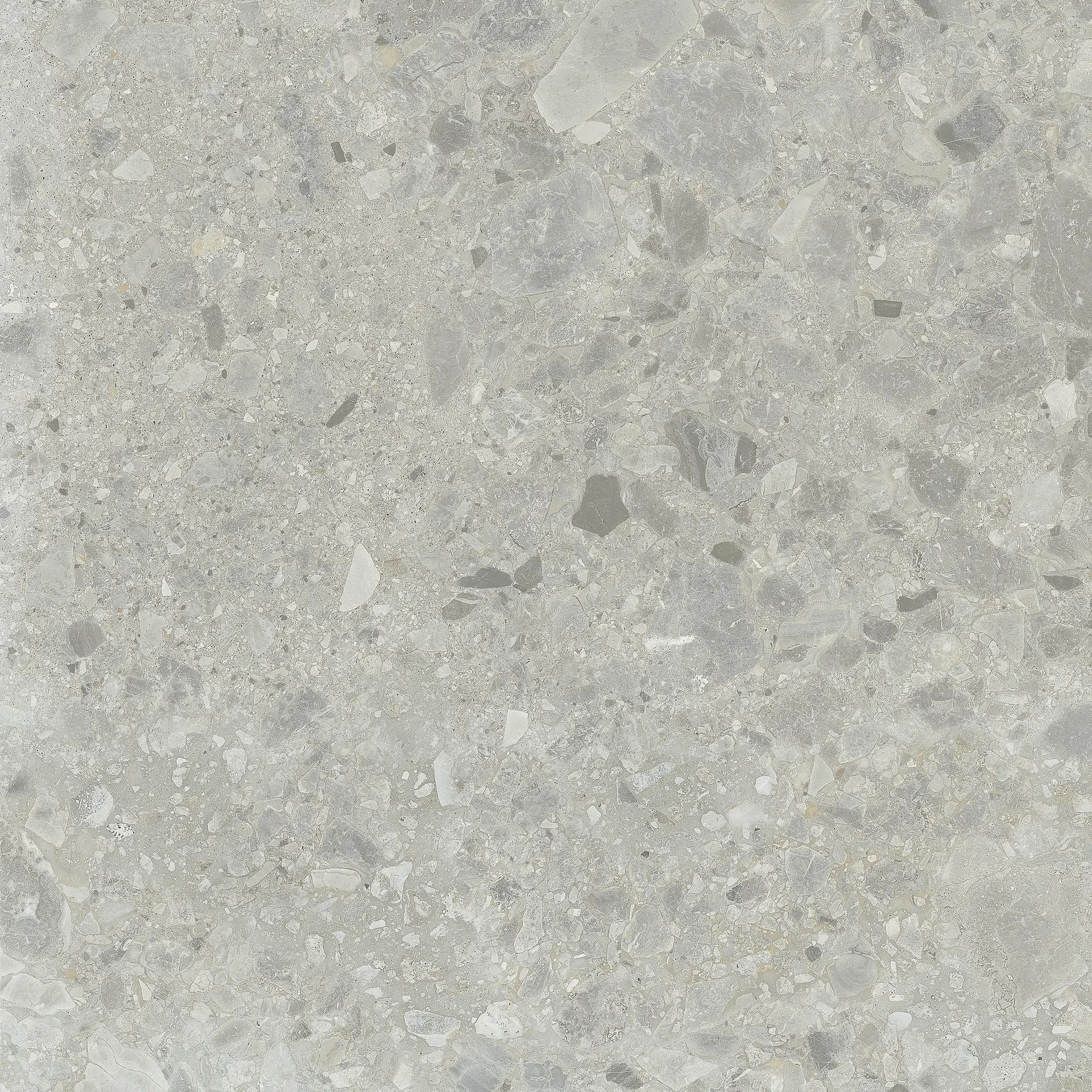 Carrelage Aspect terrazzo Berma gris rectifié 60x60 cm