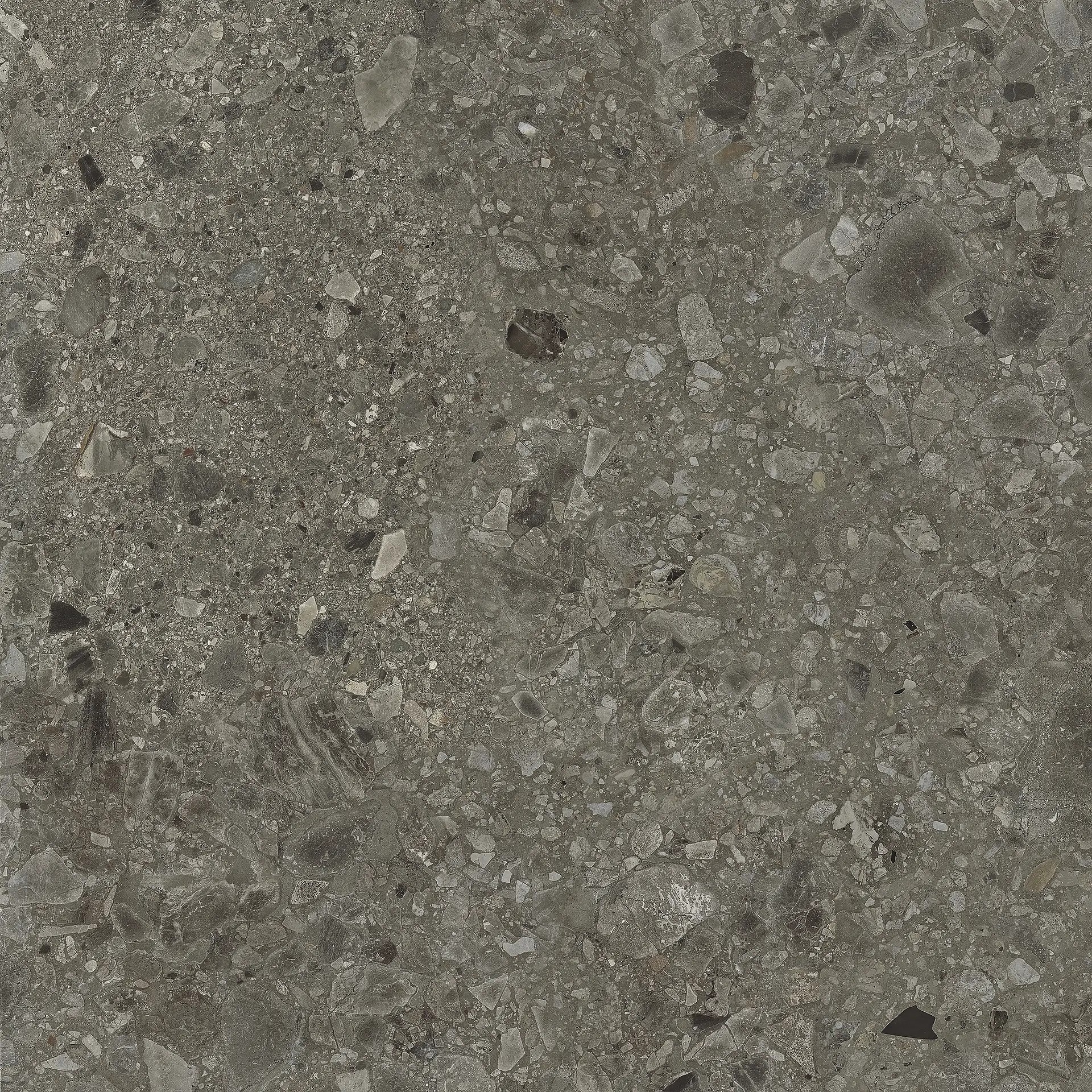 Carrelage Aspect terrazzo Berma noir R-11 60x60 cm