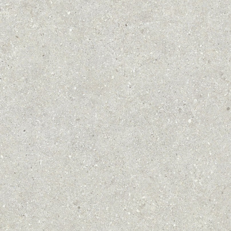 Carrelage Aspect béton  Bruch gris clair antiderapant R-11 60x60 cm