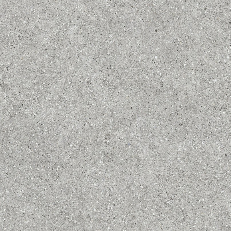 Carrelage Aspect béton  Bruch gris foncé antiderapant R-11 60x60 cm