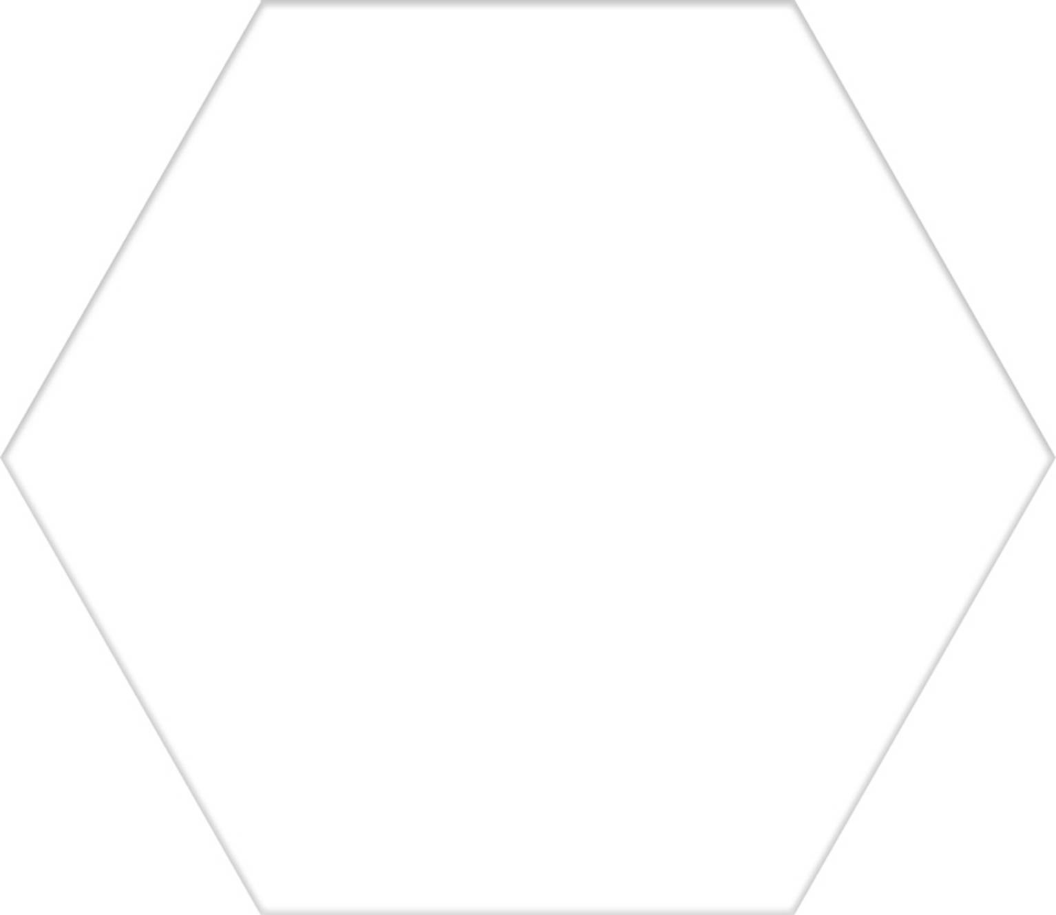 Carrelage hexagonal basic blanc hex 49x56 cm