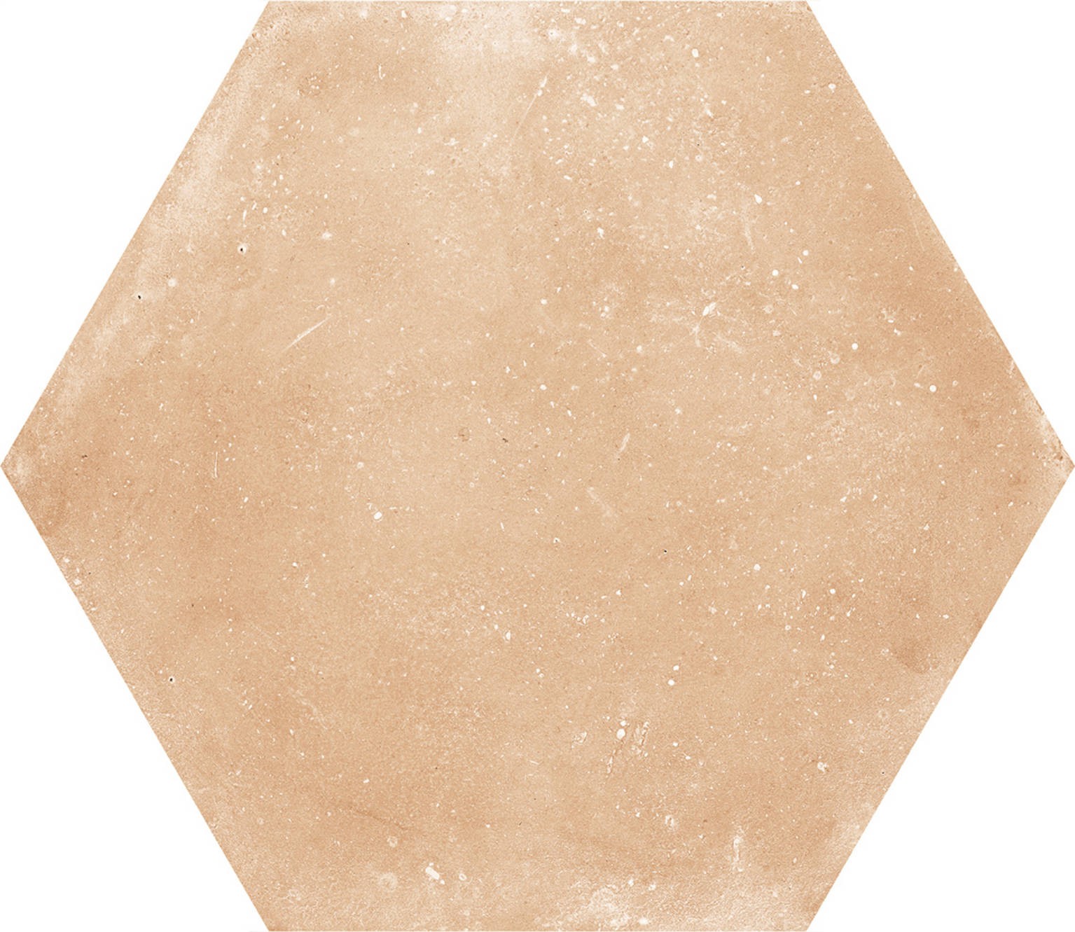 Carrelage Terre cuite Aspdini beige   56x40 cm